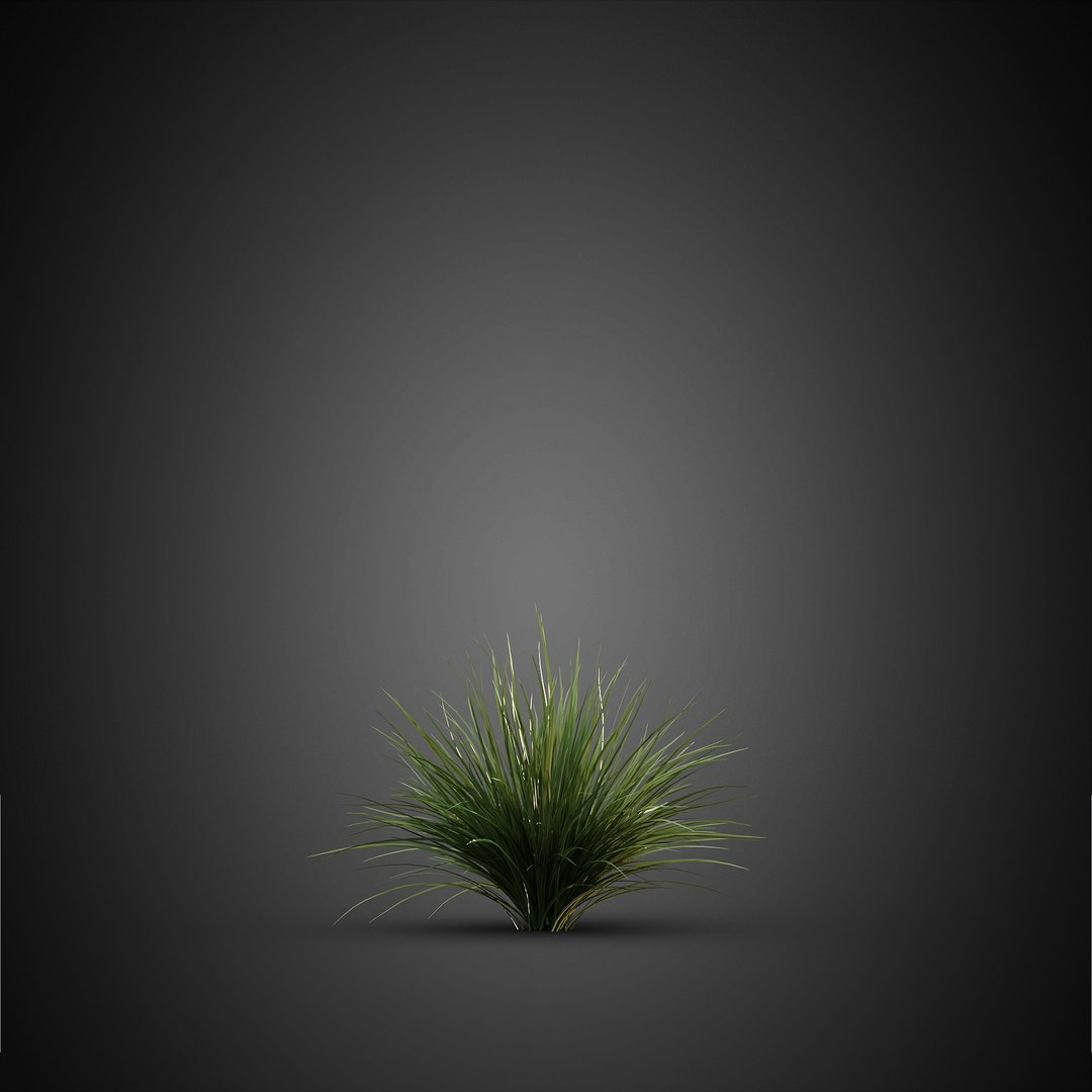 HeliosVegetation vol14 - BushesPlants 3D model https://p.turbosquid.com/ts-thumb/b2/eD64hx/sZ/chvol14_04/jpg/1651512949/1920x1080/fit_q87/75489594aed8932fca59041af5450af74f7abd9f/chvol14_04.jpg
