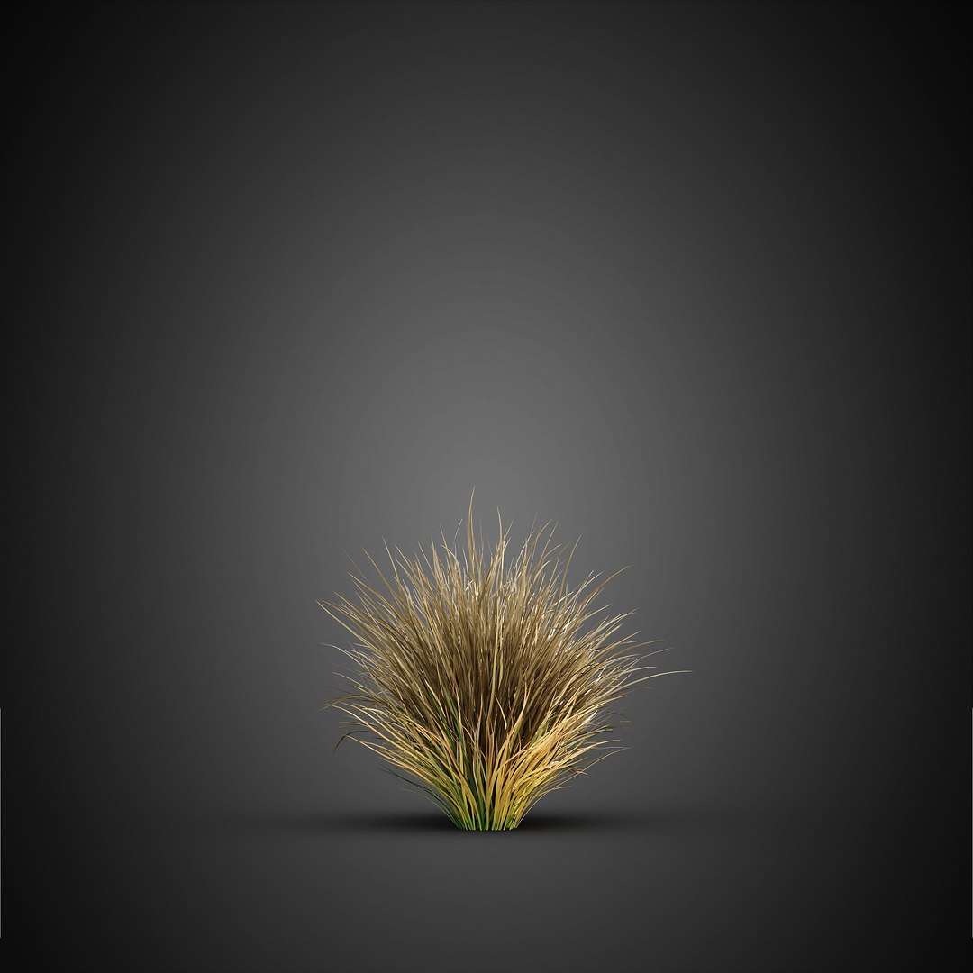 HeliosVegetation vol14 - BushesPlants 3D model https://p.turbosquid.com/ts-thumb/b2/eD64hx/yQ/chvol14_13/jpg/1651512952/1920x1080/fit_q87/4fc90d699cd886e94c08ce5378ce7ea0383f2962/chvol14_13.jpg