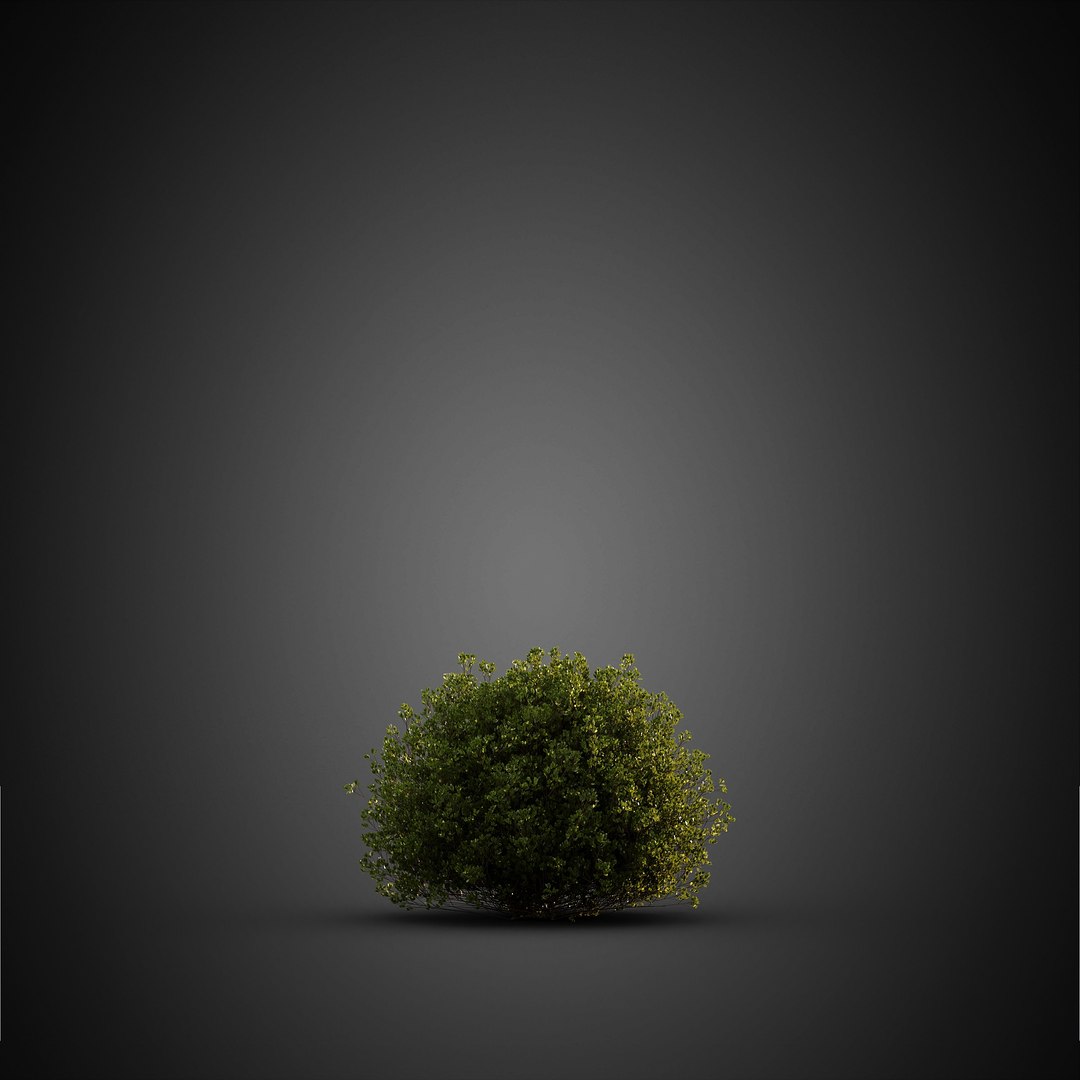 HeliosVegetation vol14 - BushesPlants 3D model https://p.turbosquid.com/ts-thumb/b2/eD64hx/zf/chvol14_16/jpg/1651512956/1920x1080/fit_q87/ed01a9c6bb8be8037ce023a4766d00419eb01da3/chvol14_16.jpg