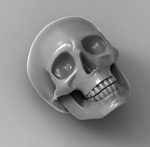 skull