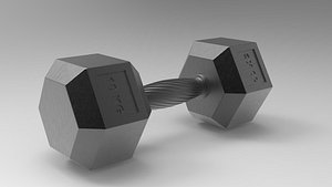 Sturdy hexagonal 10kg dumbbell with ergonomic knurled grip for fitness enthusiasts