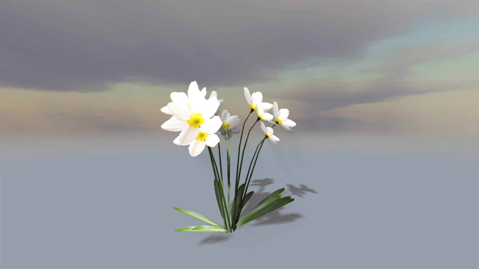 Free 3D Flower - TurboSquid 1857314