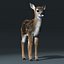 Fawn(Baby Deer)(FUR)(RIGGED)