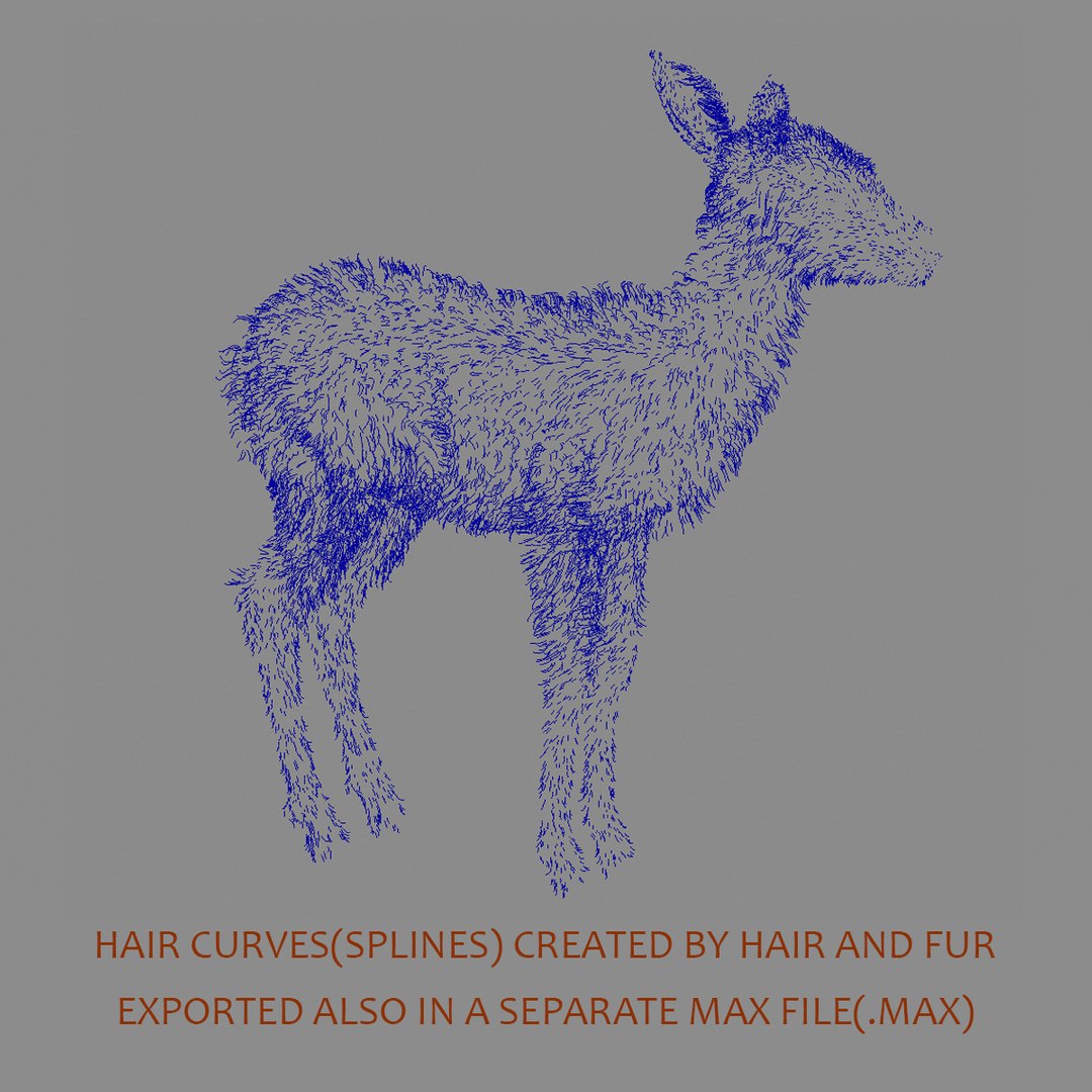 fawn baby deer fur 3d model https://p.turbosquid.com/ts-thumb/b3/J3Ajib/TSaGjCQb/fawn_fur_rigged_11/jpg/1425464123/1920x1080/fit_q87/37963d4e8a074ab5885ec2832cff61ec364f3cef/fawn_fur_rigged_11.jpg