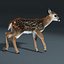 Fawn(Baby Deer)(FUR)(RIGGED)