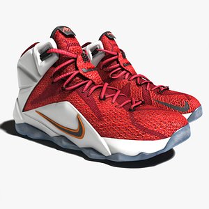 Lebron James 12 Shoes