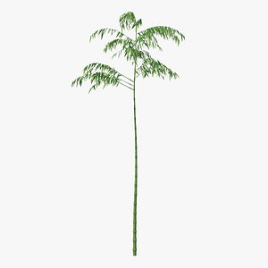 single branch bamboo tree model