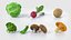 Cartoon Whole Vegetables Collection 01