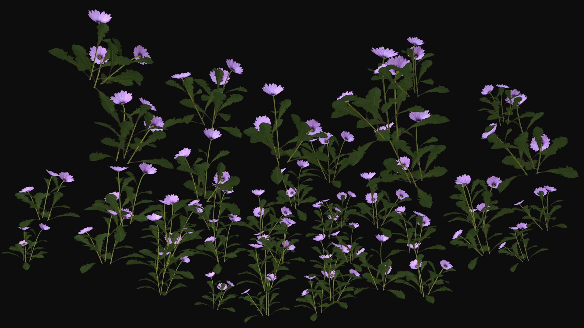 Purple wild flowers Low-poly 3D model https://p.turbosquid.com/ts-thumb/b3/sxUYFZ/4e/purplewildflowers6/jpg/1715154001/1920x1080/fit_q87/c0f453ad338ecc45e210fd25718920f0bcf2c53e/purplewildflowers6.jpg