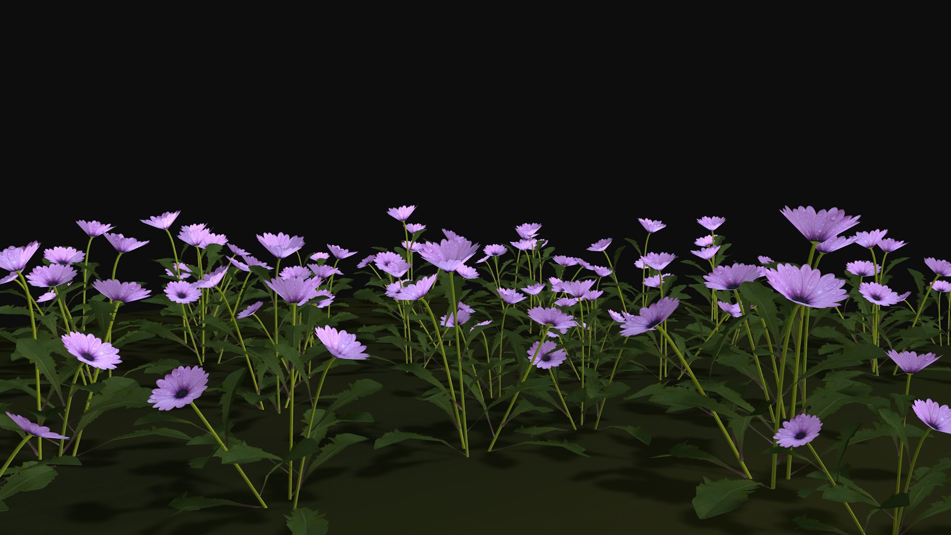 Purple wild flowers Low-poly 3D model https://p.turbosquid.com/ts-thumb/b3/sxUYFZ/ND/purplewildflowers5/jpg/1715154001/1920x1080/fit_q87/f2f62df1057ea211eef6ee61c288d10f2619dde2/purplewildflowers5.jpg
