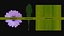 Purple wild flowers Low-poly