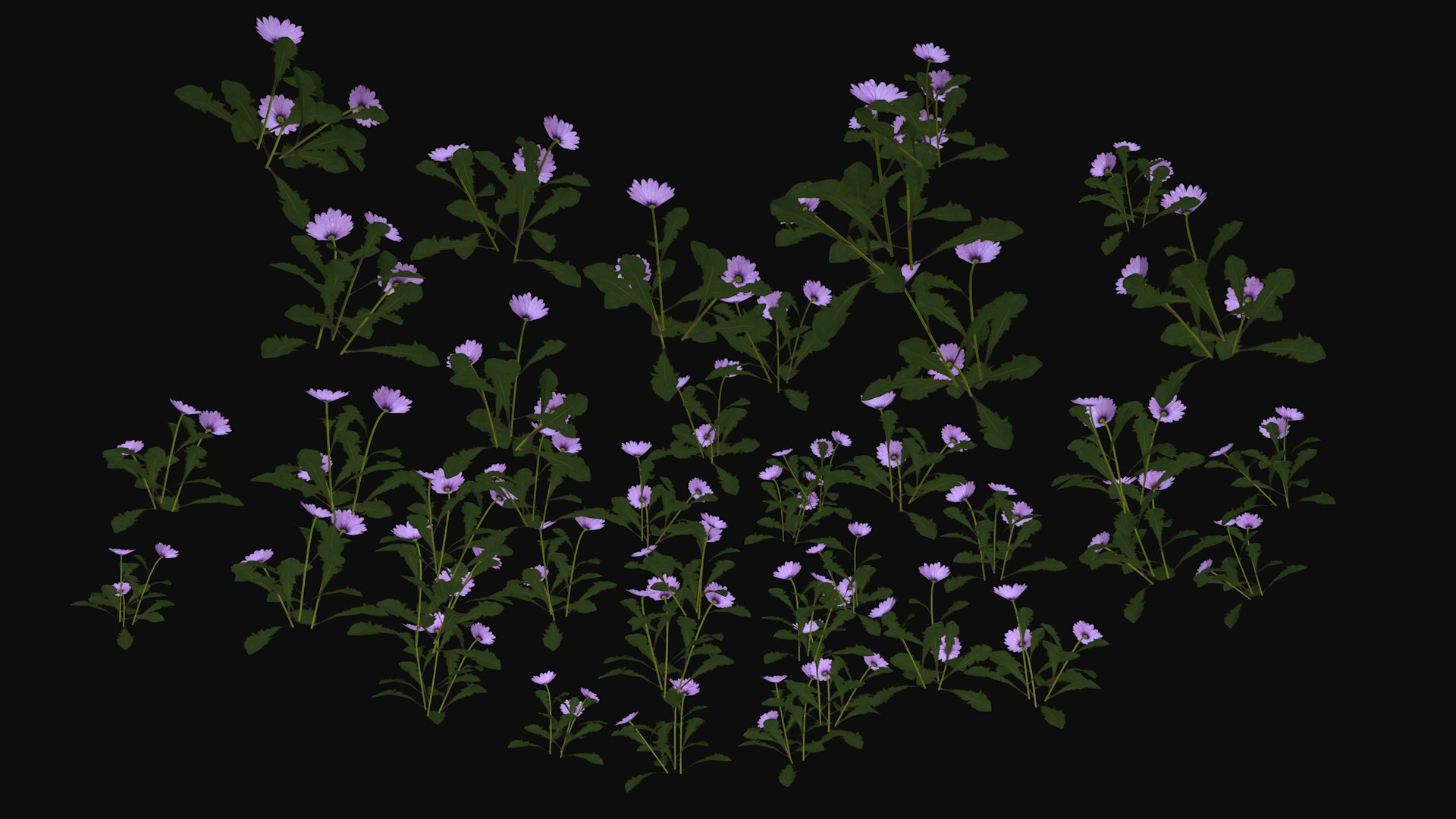 Purple wild flowers Low-poly 3D model https://p.turbosquid.com/ts-thumb/b3/sxUYFZ/re/purplewildflowers4/jpg/1715154001/1920x1080/fit_q87/1fd5dd60647e2bf2d2e355dc8303a37c9c617515/purplewildflowers4.jpg
