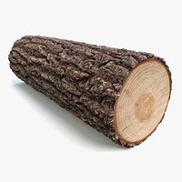 Detailed Log