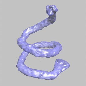 3D animation resolution flowing transparent model