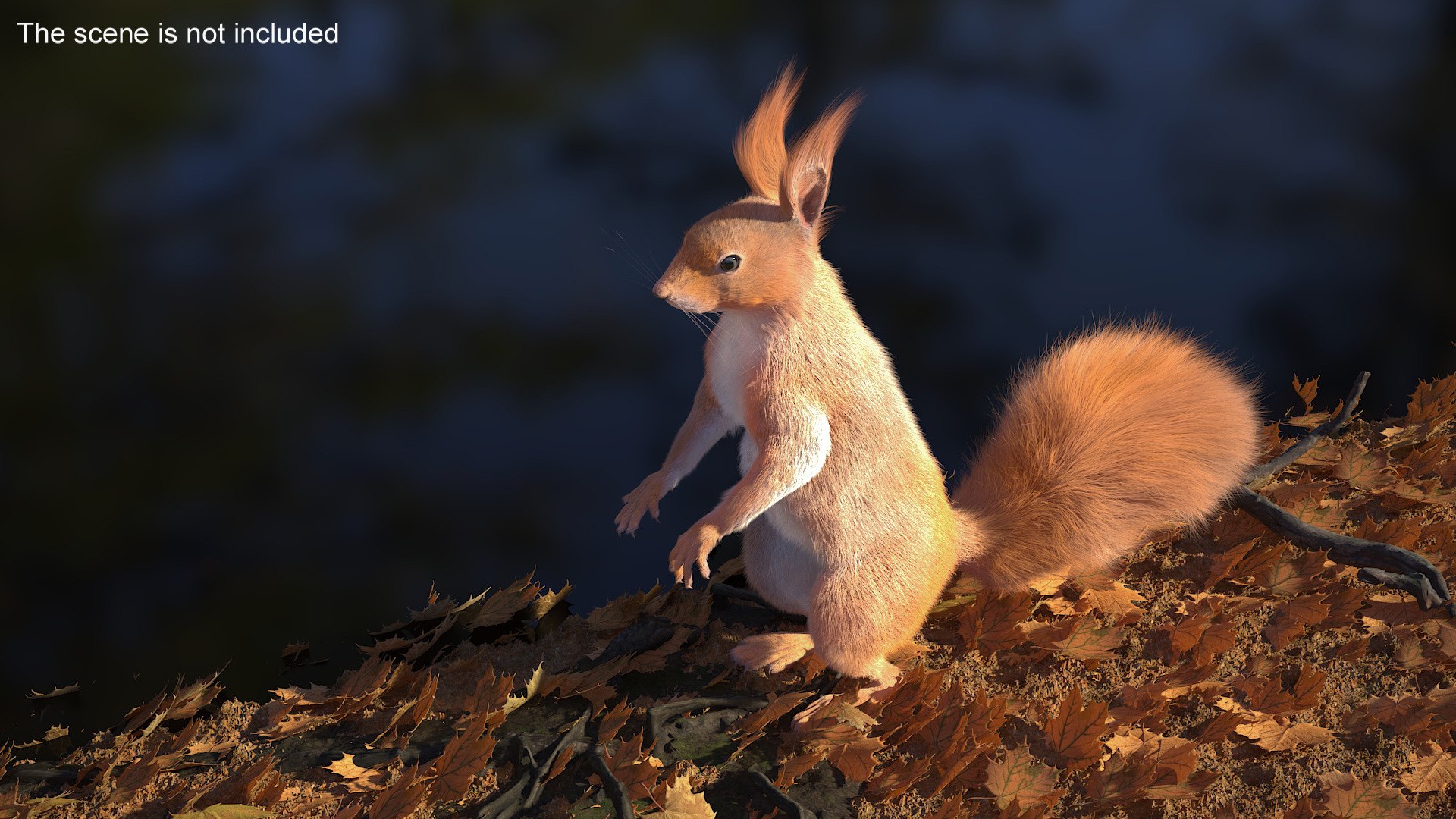 3D Model Red Squirrel In Standing Pose Fur - TurboSquid 2269672