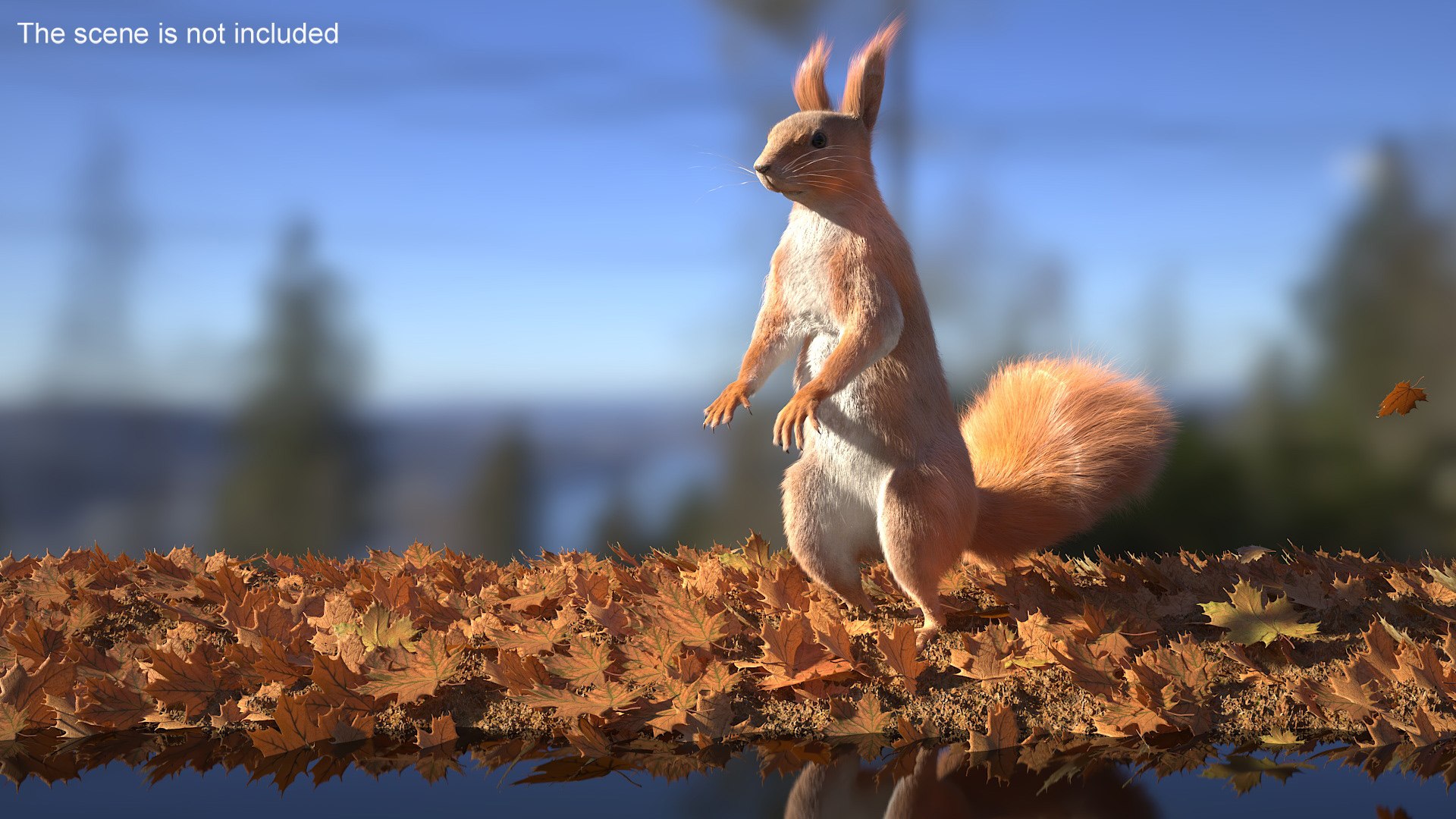 3D Model Red Squirrel In Standing Pose Fur - TurboSquid 2269672