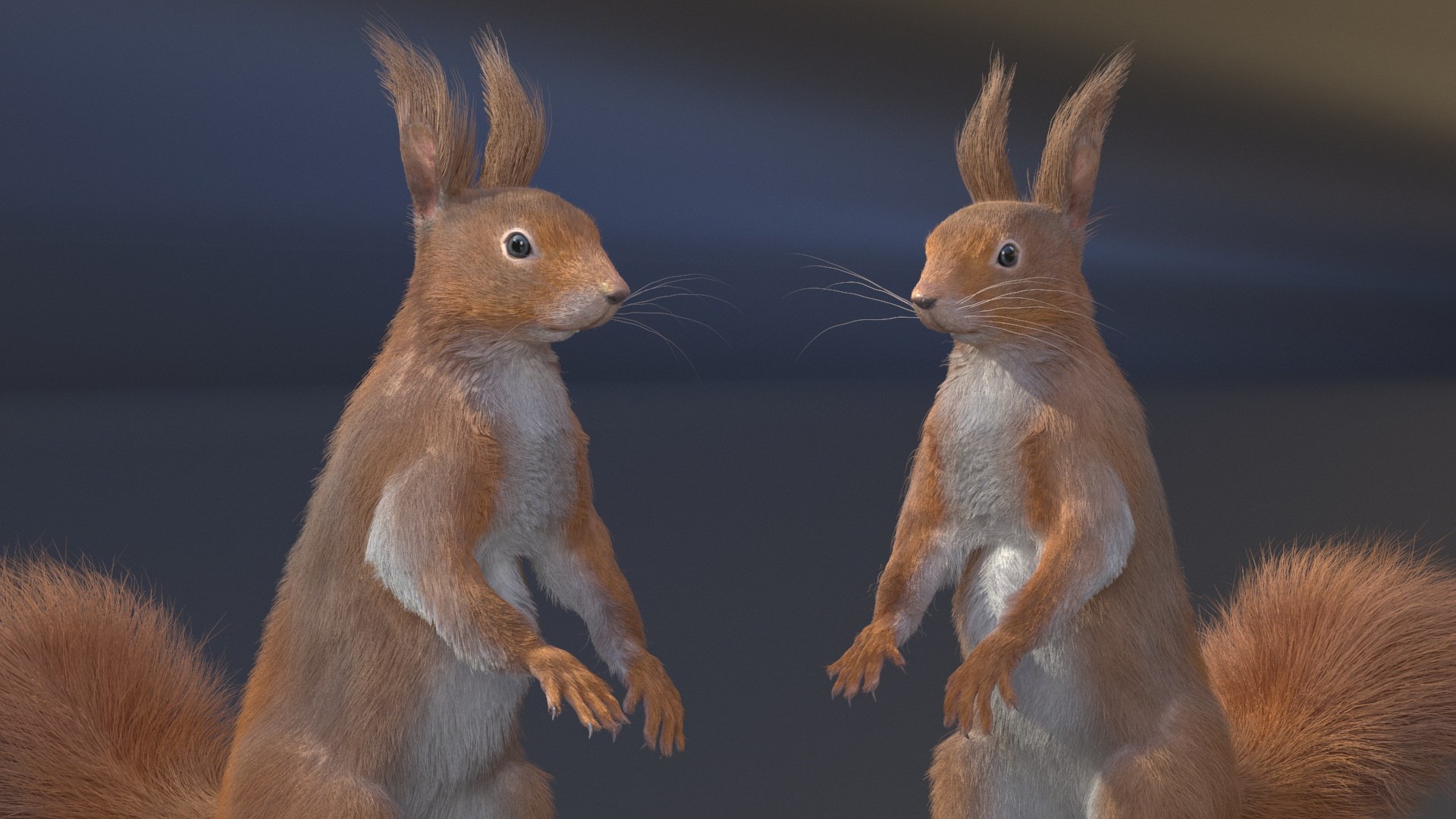 3D Model Red Squirrel In Standing Pose Fur - TurboSquid 2269672
