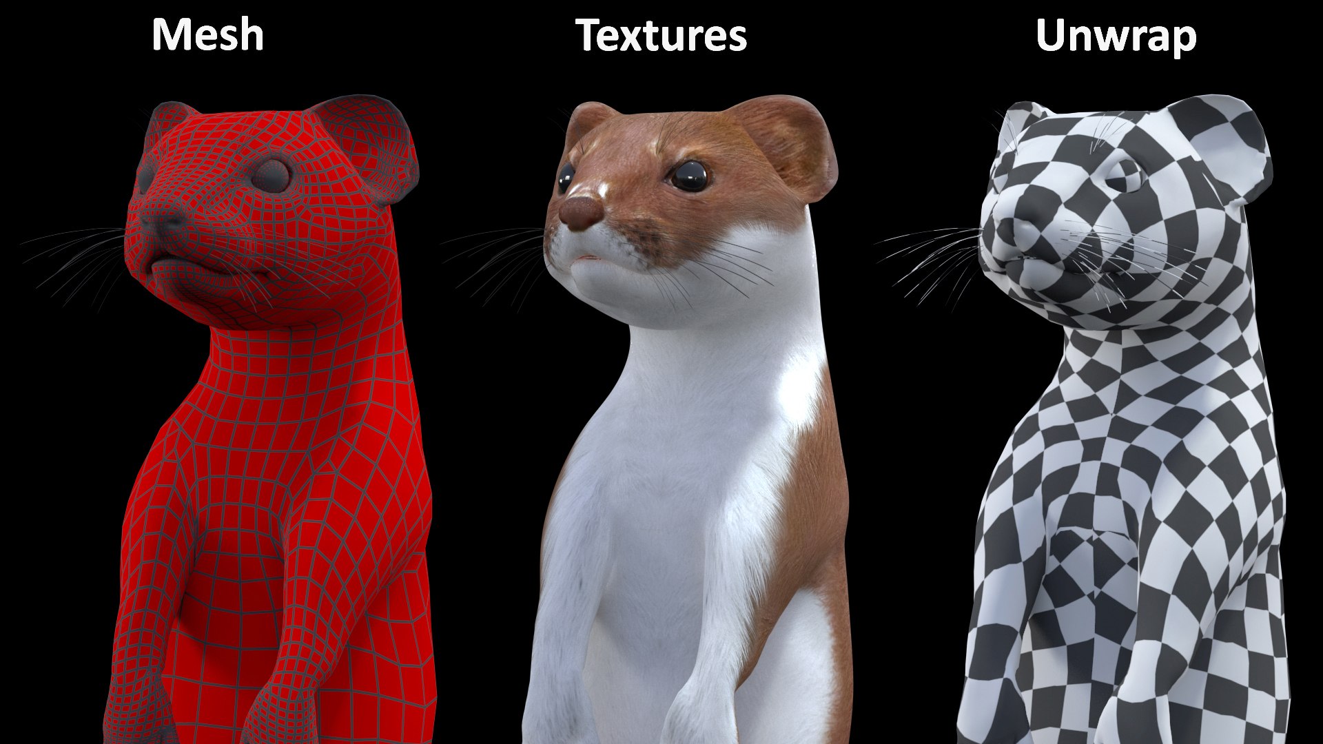 Beringian Stoat Brown Standing Pose 3D https://p.turbosquid.com/ts-thumb/b4/cyTxzn/MA/beringianstoatbrownstandingpose3dsmodel013/jpg/1711926506/1920x1080/fit_q87/5c4aab8172607d71135816e1ad773030a7831af2/beringianstoatbrownstandingpose3dsmodel013.jpg