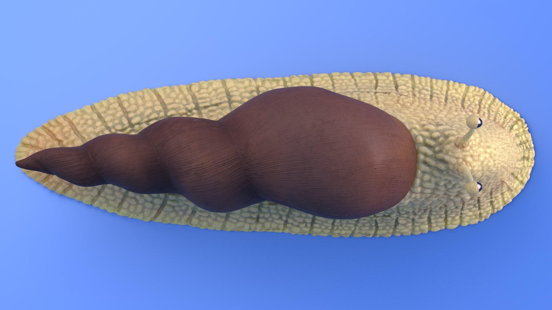 cartoon snail - 3D https://p.turbosquid.com/ts-thumb/b4/ojhVP7/1ODc9i0G/render_0037/png/1574979245/1920x1080/fit_q87/0b4cdfacf48cfe8d8cc237d554e1e21c979d5562/render_0037.jpg