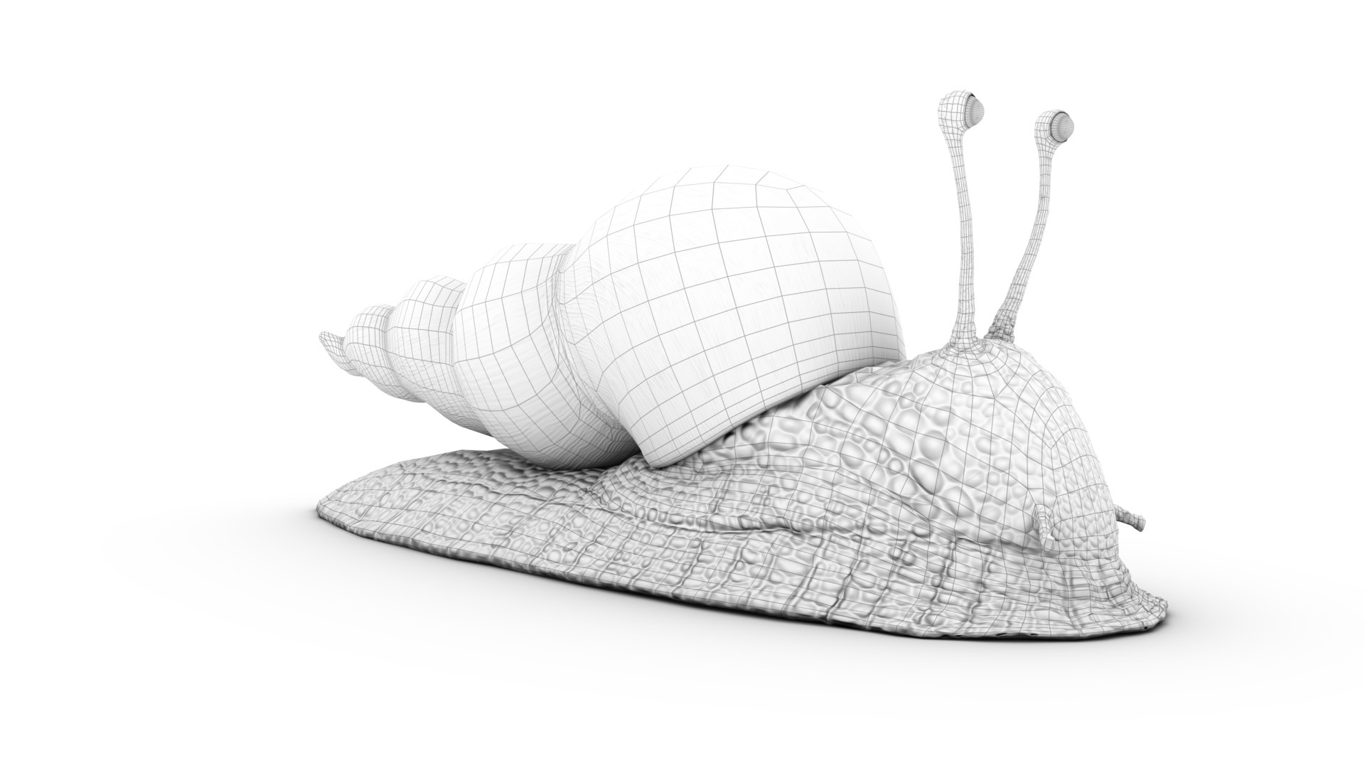 cartoon snail - 3D https://p.turbosquid.com/ts-thumb/b4/ojhVP7/HRoxfBZP/wire_0039/png/1574979263/1920x1080/fit_q87/722db0426215f23d6705eaede1d74c3f02bde6bd/wire_0039.jpg