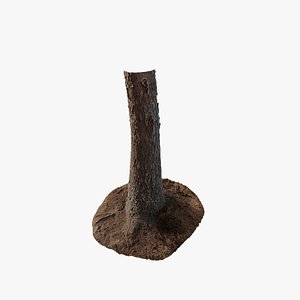 3D Anydrafts Abies fabri Trunk 10