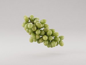 3D Grapes model