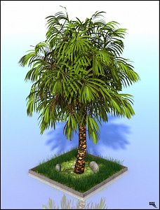 palm tree 3d obj