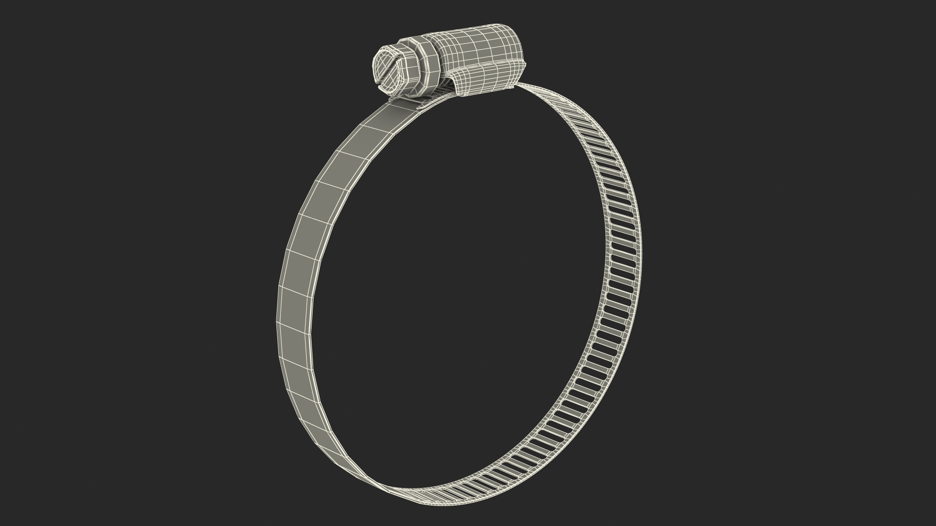 Hose Clamp with Thumb Screw 46 70mm 3D model TurboSquid 1810257