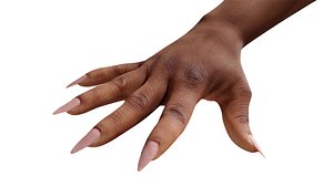 Retopologized 3D Hand scan of Alberaneshia Allen 3D model