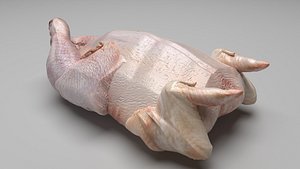 Whole Chicken model