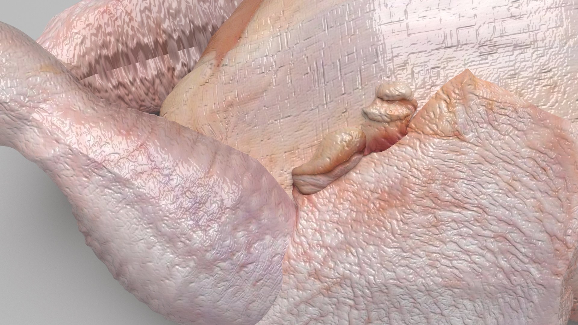 Whole Chicken Model - TurboSquid 2249657