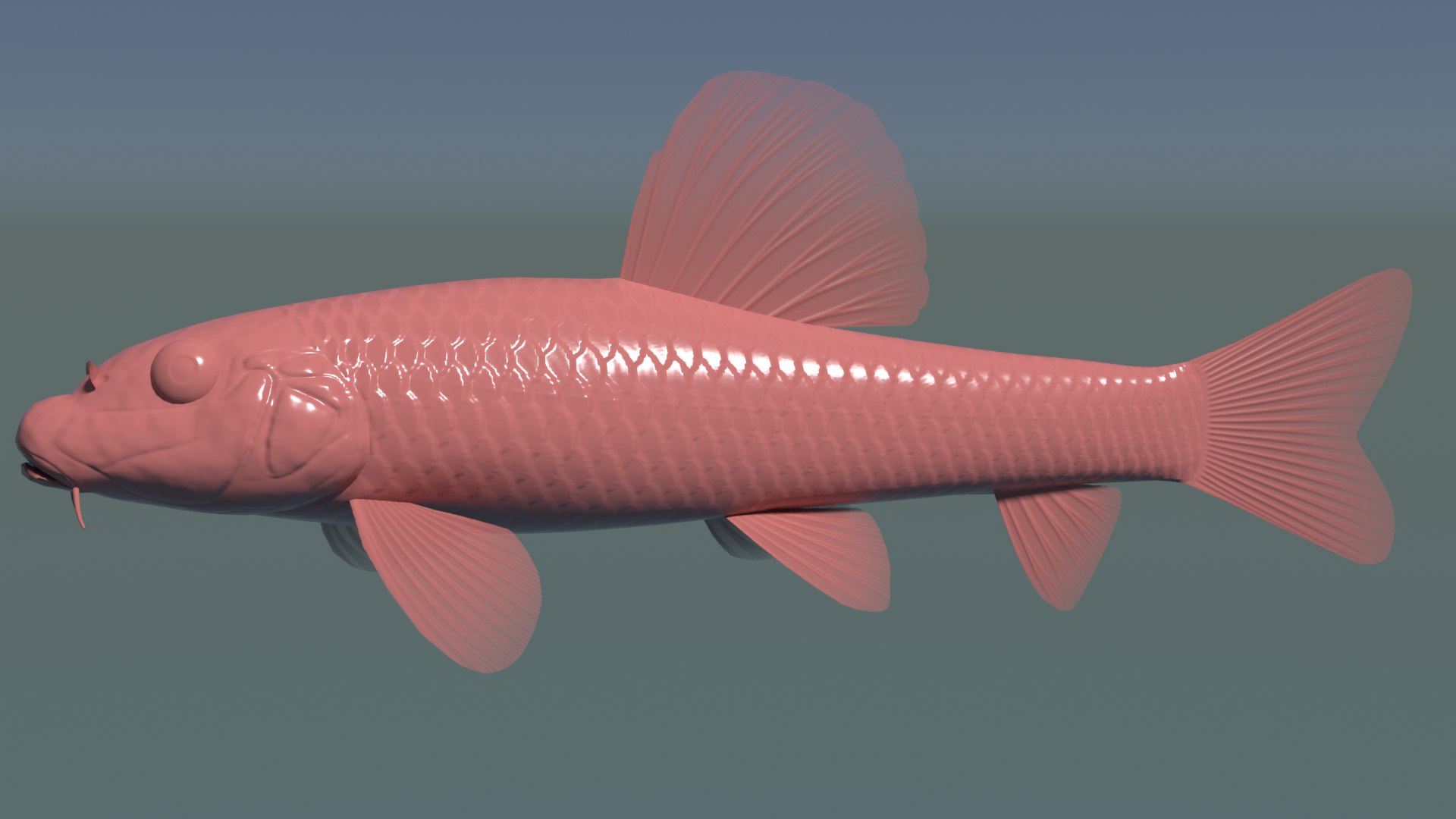 3ds max chinese false gudgeon tutifuki https://p.turbosquid.com/ts-thumb/b5/duCHVI/38/tutifukibump/png/1610495599/1920x1080/fit_q87/f082f8836c94d91a95efa67a50fd5e81b64d59a5/tutifukibump.jpg