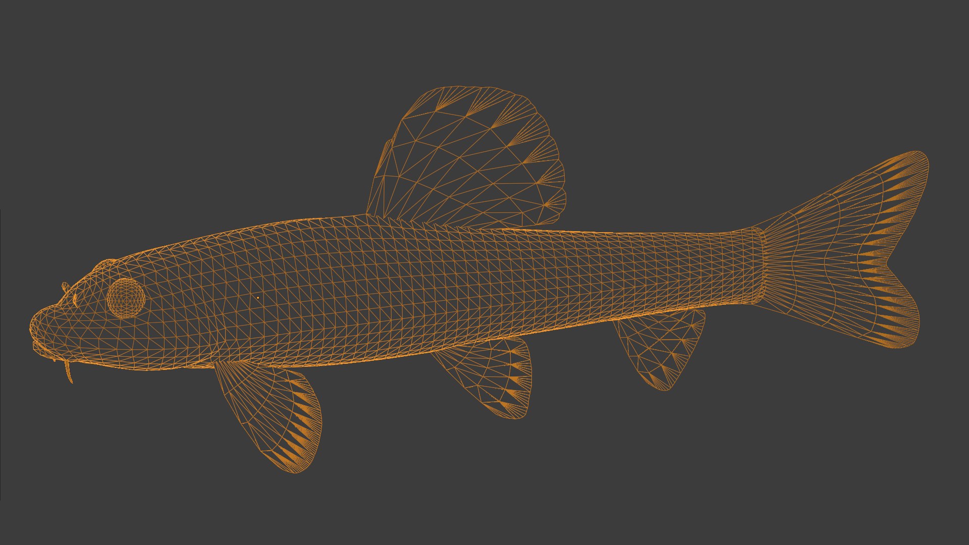 3ds max chinese false gudgeon tutifuki https://p.turbosquid.com/ts-thumb/b5/duCHVI/A9/tutifukiwire/png/1610495600/1920x1080/fit_q87/a6bec8eabc4f4fbfa270e331793921b8a5bed4c6/tutifukiwire.jpg