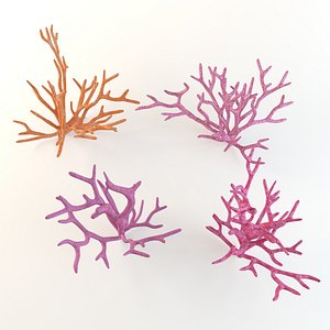 Coral