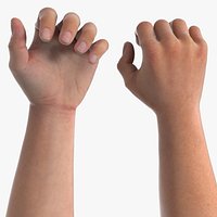 Realistic Male Arm Pair Rigged for Maya