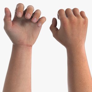Realistic Male Arm Pair Rigged for Maya