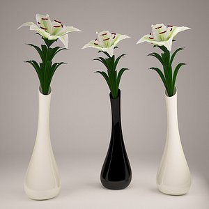white lily vase flower 3d max