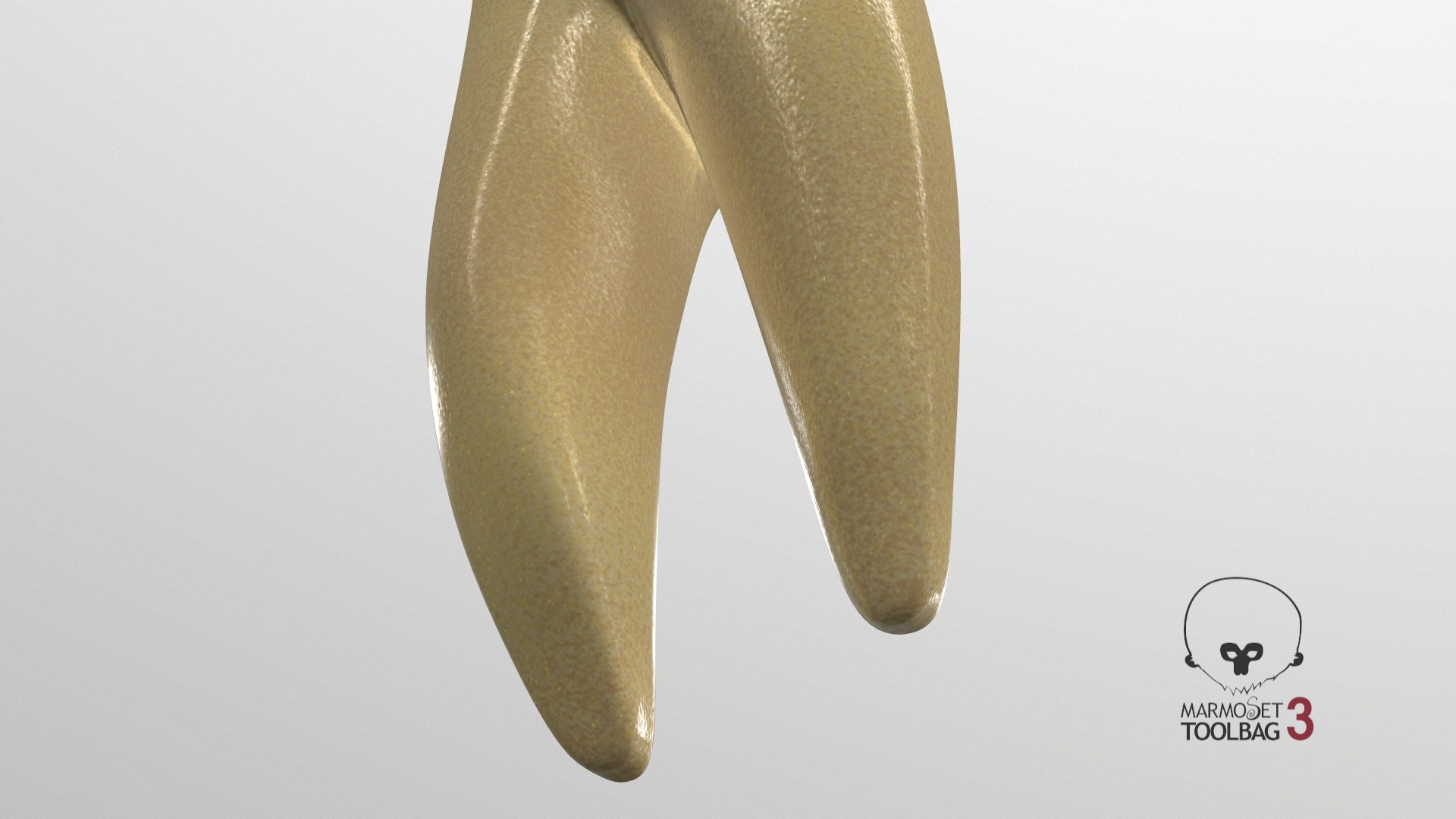 human teeth lower second 3D model https://p.turbosquid.com/ts-thumb/b5/wm5MVB/LophIrM2/screenshot008/jpg/1591383849/1920x1080/fit_q87/93fb54a4b0727b25c720dd4b4a843ca6083df2f8/screenshot008.jpg