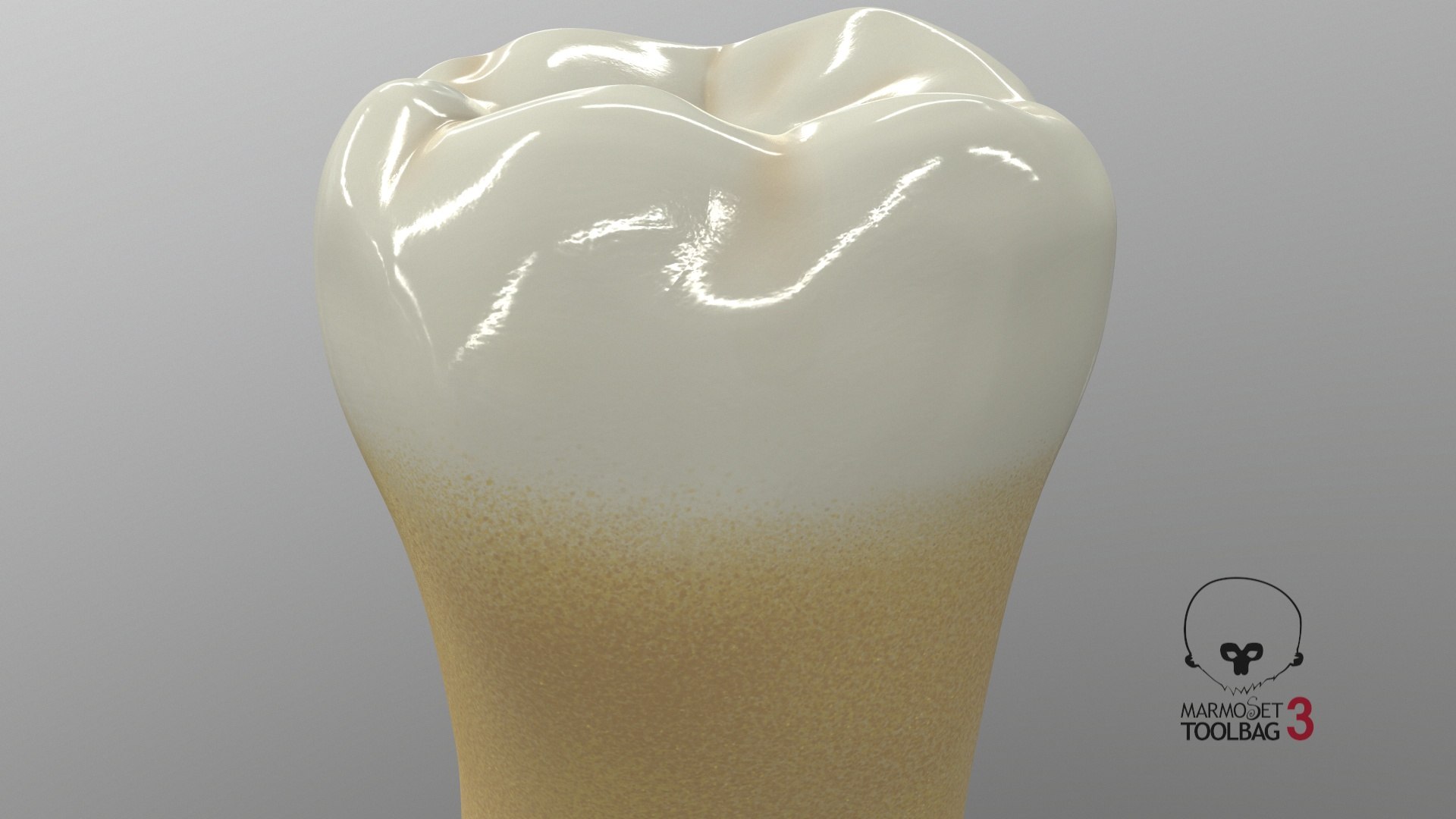human teeth lower second 3D model https://p.turbosquid.com/ts-thumb/b5/wm5MVB/dekBKNA7/screenshot005/jpg/1591383803/1920x1080/fit_q87/cca5e9ce5ce14ab2bda5b44ec2710aafefce909e/screenshot005.jpg