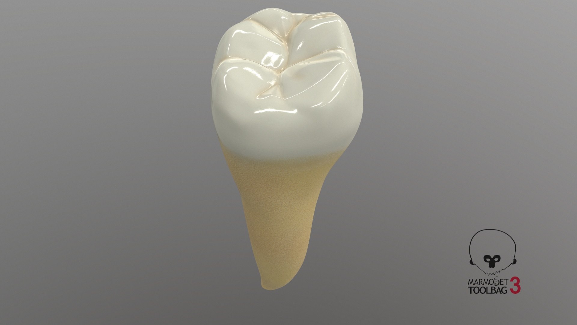 human teeth lower second 3D model https://p.turbosquid.com/ts-thumb/b5/wm5MVB/nOai81Yi/screenshot001/jpg/1591383789/1920x1080/fit_q87/4c25fb2e300a2aea98c9c34392a8bf9b64d61c37/screenshot001.jpg