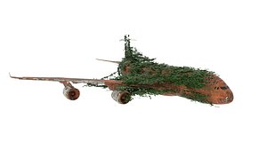 Damaged Rusted Airplane 3D model