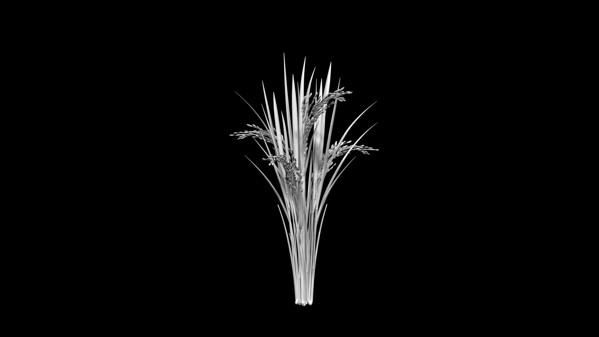 3D model FLOWER PADDY DUST FINAL 2011 https://p.turbosquid.com/ts-thumb/b6/0nEvgA/N4/youngpaddyplantpost6/jpg/1623137382/1920x1080/fit_q87/639c4741a7cdb501bd45157010ce96877ddaf82c/youngpaddyplantpost6.jpg