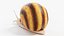 Schnecke