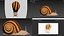 Schnecke