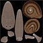 Schnecke