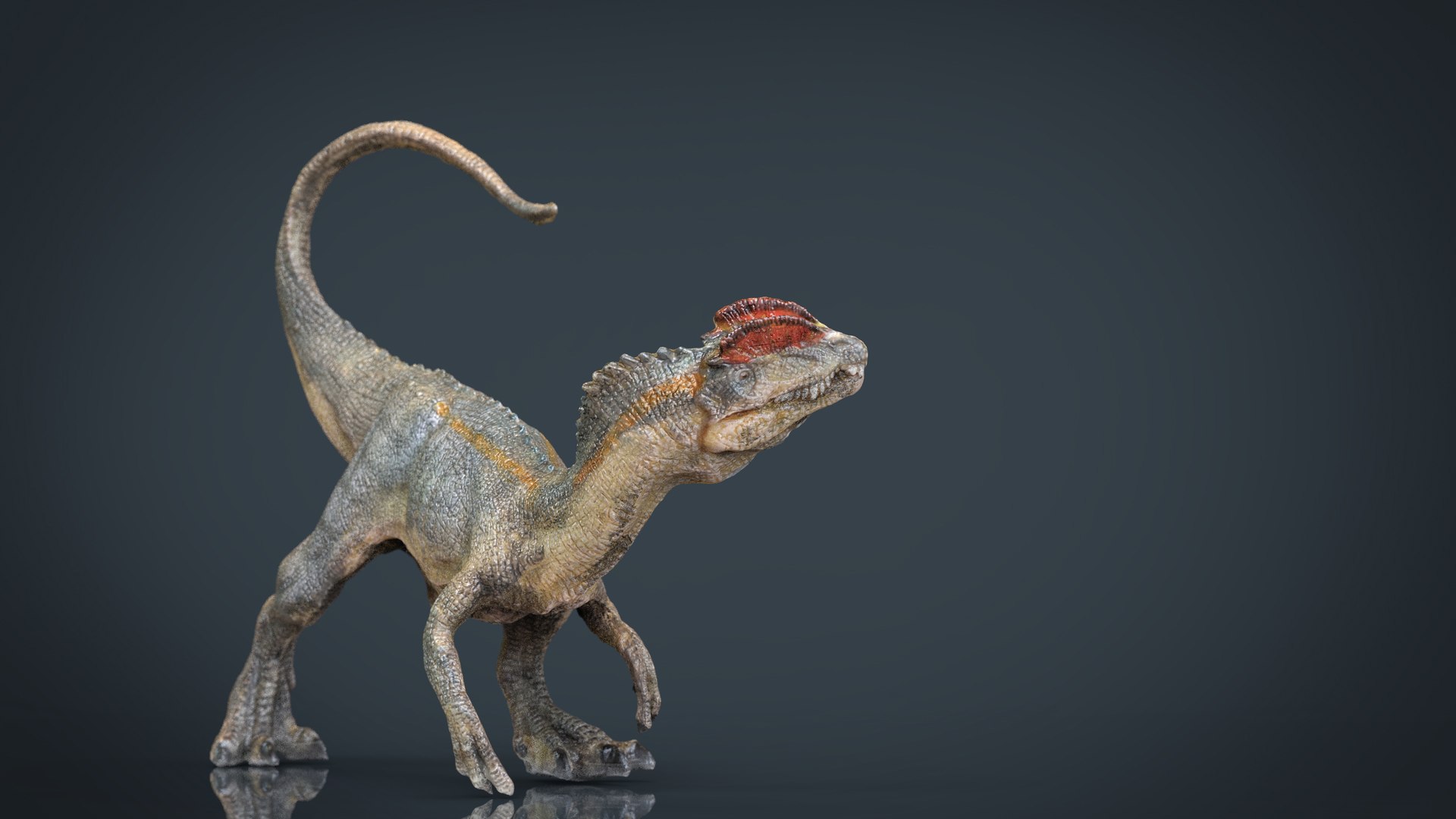 hd dilophosaurus 3d max https://p.turbosquid.com/ts-thumb/b6/OfdxBf/NIjnRlVx/dilophosaurus.163/jpg/1472851606/1920x1080/fit_q87/c13b53a1dc2ad53a00a9233d19c76028f9b3d578/dilophosaurus.163.jpg