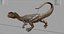 Dilophosaurus