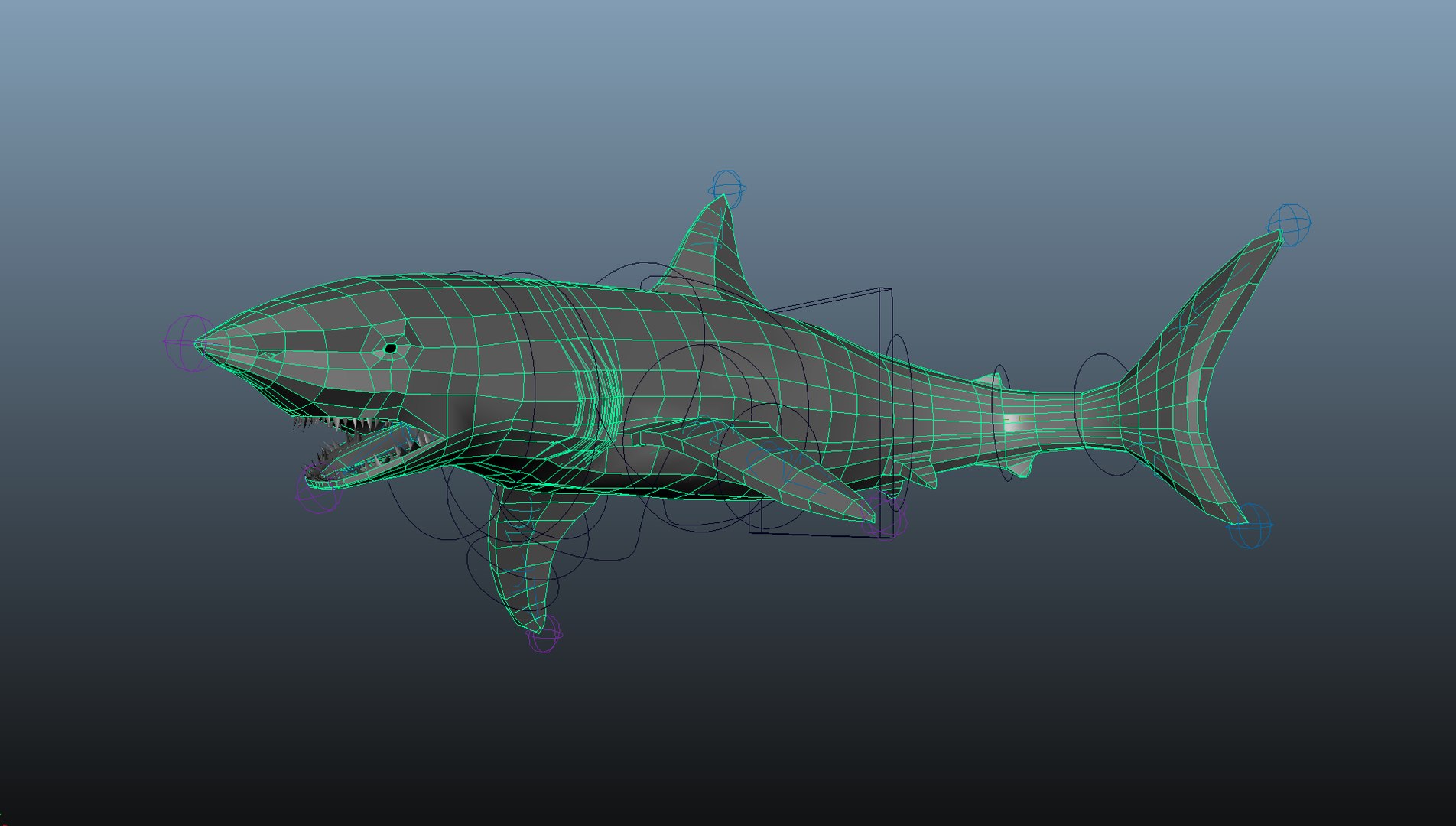 3D model Great Shark https://p.turbosquid.com/ts-thumb/b6/P2DF5R/0v/wire/png/1662202914/1920x1080/fit_q87/9437e6b921f1bbbd1741c7dda5d8d3d24f0fa320/wire.jpg