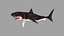 Grand requin