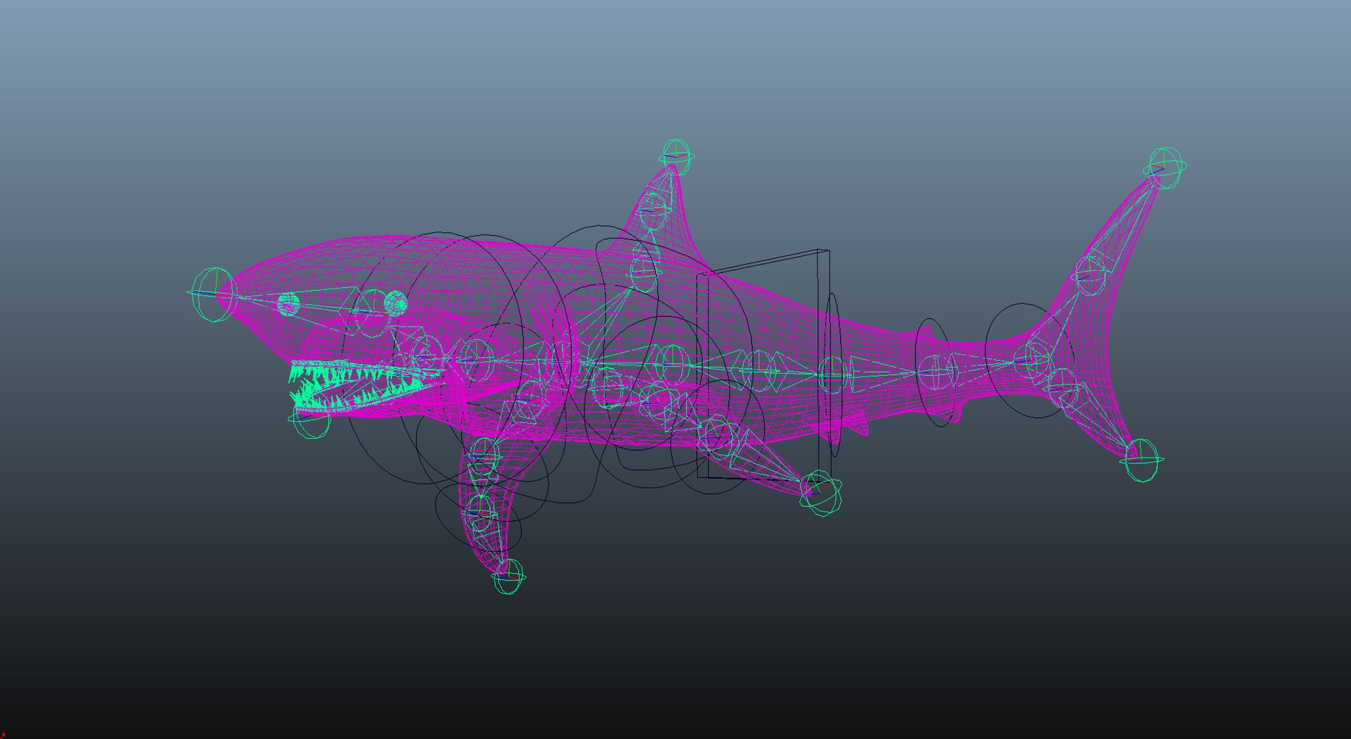 3D model Great Shark https://p.turbosquid.com/ts-thumb/b6/P2DF5R/a2/wire1/png/1662202413/1920x1080/fit_q87/5a4d9f7a19e890513d182dc871c0ca46bd6570dd/wire1.jpg